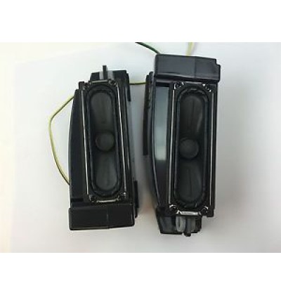 BN96-32738C SAMSUNG UE40H4200AW HOPARLÖRLER
